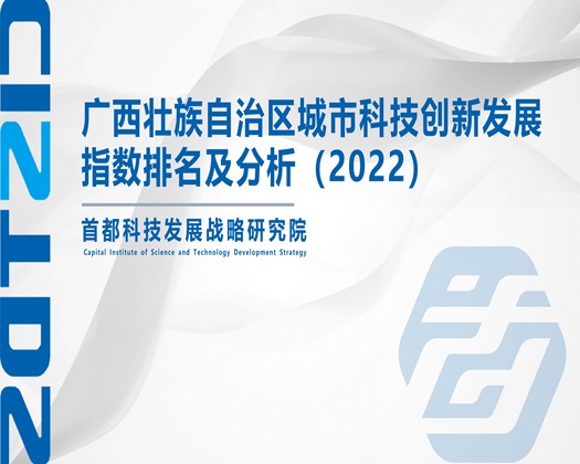 美女艹逼网站视频【成果发布】广西壮族自治区城市科技创新发展指数排名及分析（2022）